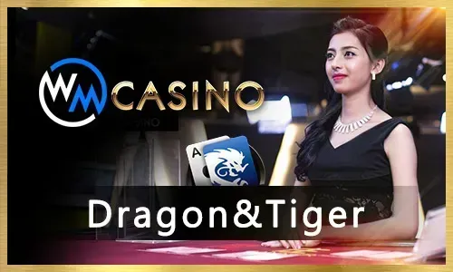 Live Dealer Experience